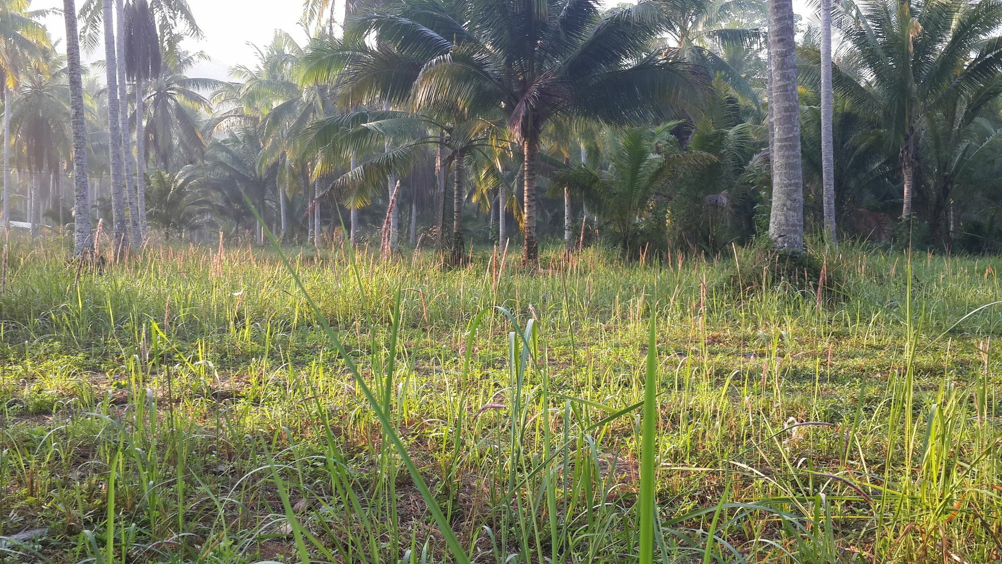 فندق Baan Phuean Koh Kood Ko Kut المظهر الخارجي الصورة