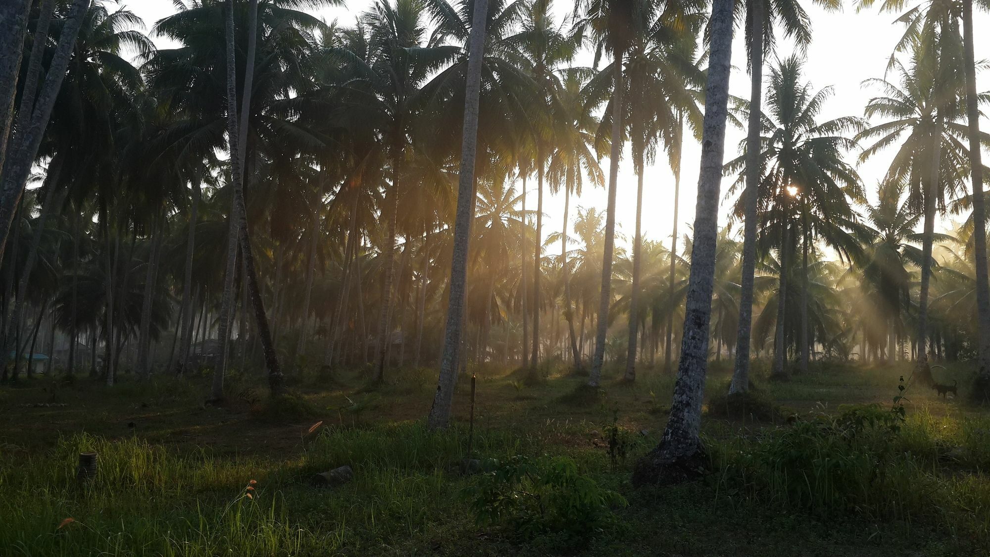 فندق Baan Phuean Koh Kood Ko Kut المظهر الخارجي الصورة