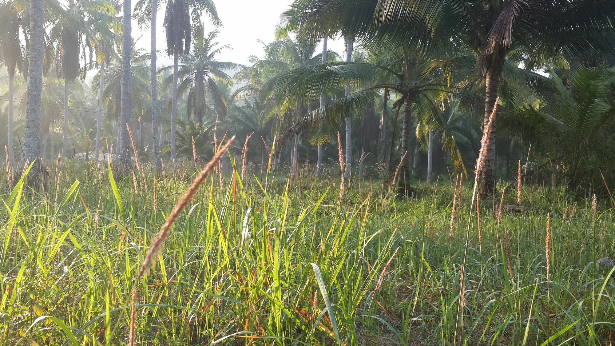 فندق Baan Phuean Koh Kood Ko Kut المظهر الخارجي الصورة